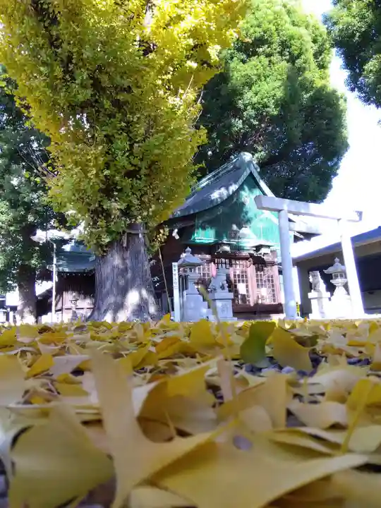 金山神社(愛知県)