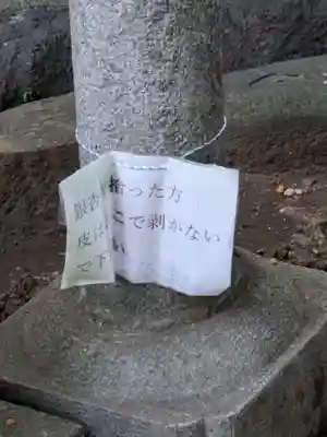 千種稲荷神社の鳥居