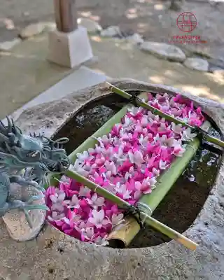 立志神社(滋賀県)