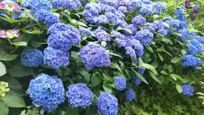 瀬戸神社(神奈川県)
