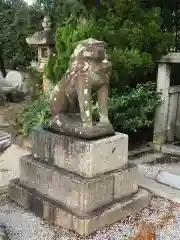 荒井神社の狛犬