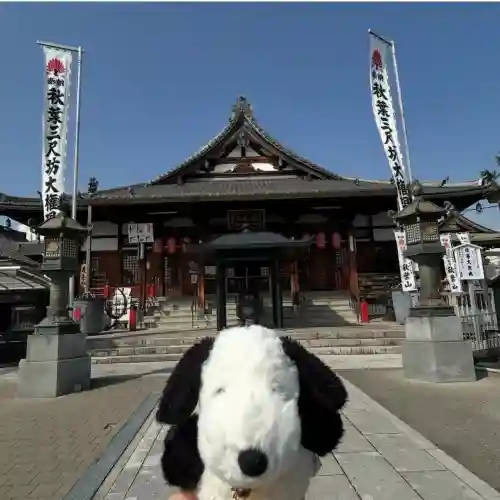 秋葉山圓通寺の{uncategorized: "未分類", other: "その他", undefined: "問題あり", building: "その他建物", grave: "お墓", sacred_gate: "鳥居", guardian: "狛犬", statue: "像", buddha: "仏像", history: "歴史", nature: "自然", garden: "庭園", animal: "動物", pagoda: "塔", temizu: "手水舎", mountain_gate: "山門・神門", sanctuary: "本殿・本堂", subordinate: "末社・摂社", art: "芸術", scenery: "景色", jizo: "地蔵", ema: "絵馬", goshuin: "御朱印", omikuji: "おみくじ", items: "授与品その他", amulet: "お守り", goshuincho: "御朱印帳", eats: "食事", festival: "お祭り", votive_dance: "神楽", shichigosan: "七五三参", wedding: "結婚式", experience: "体験その他", initially: "初詣", around: "周辺", anti_infection: "感染症対策"}
