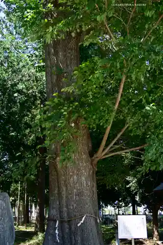 深見神社(神奈川県)