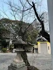 若宮八幡社の自然