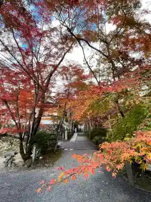 神峯山寺(大阪府)