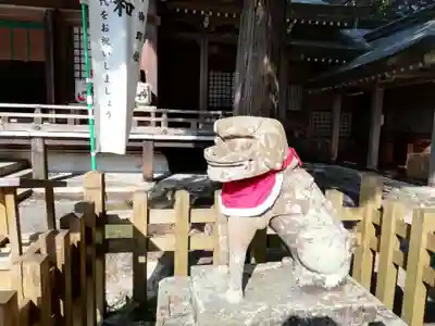 大麻比古神社の狛犬