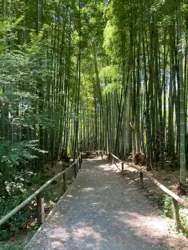 高台寺（高台寿聖禅寺・高臺寺）の周辺