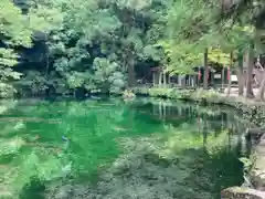 涌釜神社(栃木県)