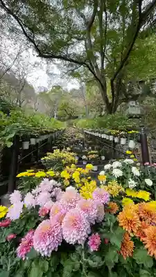 長谷寺(奈良県)