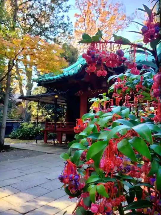 赤坂氷川神社(東京都)