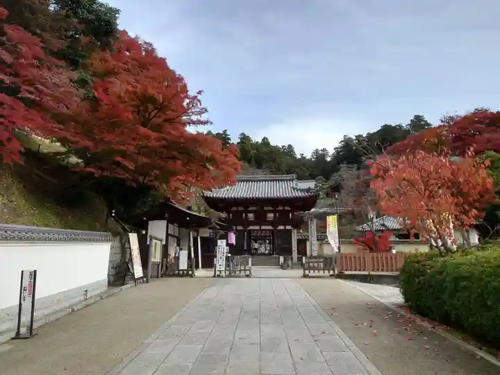 岡寺(龍蓋寺)(奈良県)