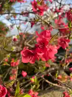 宝壽山 吉祥院の自然