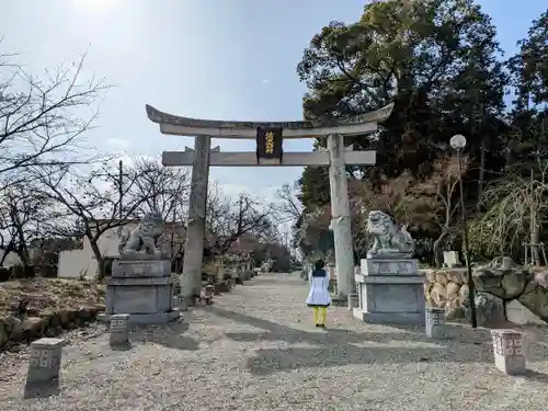 沙沙貴神社の鳥居