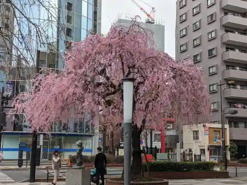 市守大鳥神社(東京都)