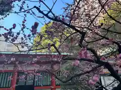 泥江縣神社(愛知県)