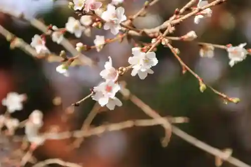 鹿島大神宮の庭園