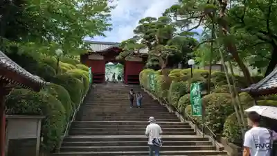 護国寺(東京都)
