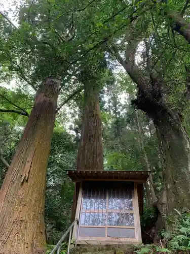 春日神社の自然