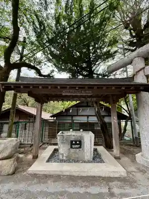 奥氷川神社の{uncategorized: "未分類", other: "その他", undefined: "問題あり", building: "その他建物", grave: "お墓", sacred_gate: "鳥居", guardian: "狛犬", statue: "像", buddha: "仏像", history: "歴史", nature: "自然", garden: "庭園", animal: "動物", pagoda: "塔", temizu: "手水舎", mountain_gate: "山門・神門", sanctuary: "本殿・本堂", subordinate: "末社・摂社", art: "芸術", scenery: "景色", jizo: "地蔵", ema: "絵馬", goshuin: "御朱印", omikuji: "おみくじ", items: "授与品その他", amulet: "お守り", goshuincho: "御朱印帳", eats: "食事", festival: "お祭り", votive_dance: "神楽", shichigosan: "七五三参", wedding: "結婚式", experience: "体験その他", initially: "初詣", around: "周辺", anti_infection: "感染症対策"}