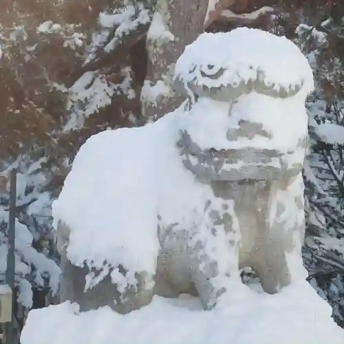 網走神社の狛犬