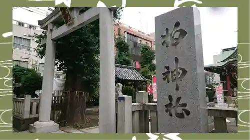柏神社(千葉県)