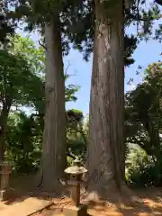 中谷神社の建物その他