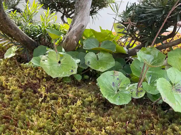西方山極楽寺(岐阜県)