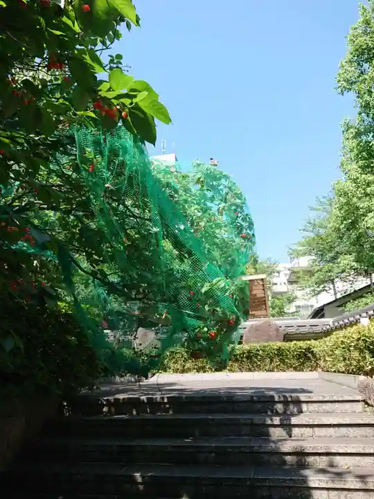 清浄寺(矢場地蔵)のその他建物