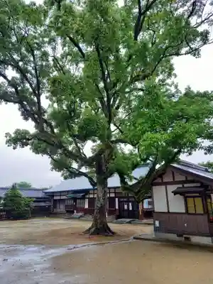玉祖神社の自然