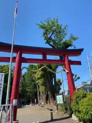 生品神社(群馬県)