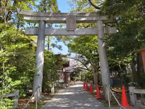 熊野道祖神社の鳥居