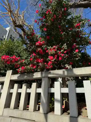 鳥越神社の{uncategorized: "未分類", other: "その他", undefined: "問題あり", building: "その他建物", grave: "お墓", sacred_gate: "鳥居", guardian: "狛犬", statue: "像", buddha: "仏像", history: "歴史", nature: "自然", garden: "庭園", animal: "動物", pagoda: "塔", temizu: "手水舎", mountain_gate: "山門・神門", sanctuary: "本殿・本堂", subordinate: "末社・摂社", art: "芸術", scenery: "景色", jizo: "地蔵", ema: "絵馬", goshuin: "御朱印", omikuji: "おみくじ", items: "授与品その他", amulet: "お守り", goshuincho: "御朱印帳", eats: "食事", festival: "お祭り", votive_dance: "神楽", shichigosan: "七五三参", wedding: "結婚式", experience: "体験その他", initially: "初詣", around: "周辺", anti_infection: "感染症対策"}