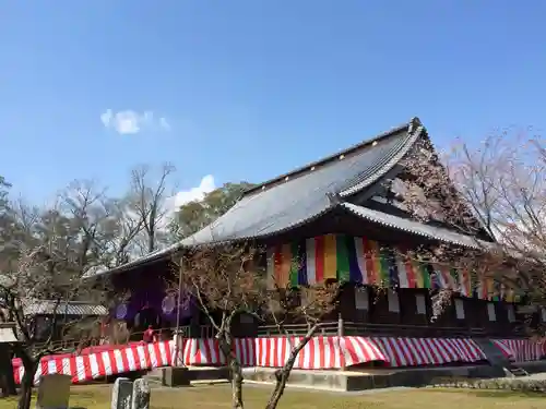 善導寺(福岡県)
