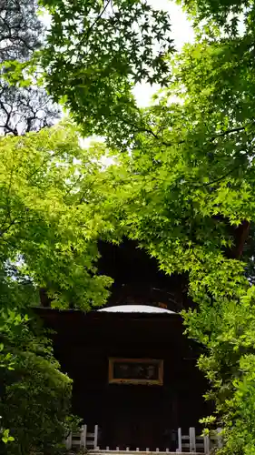 常寂光寺(京都府)