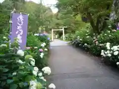 太平山神社の鳥居