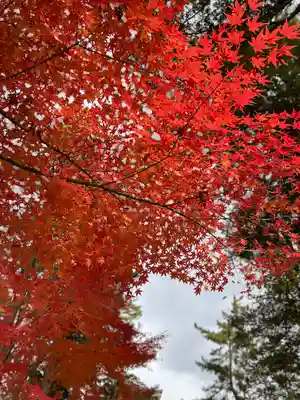 善光寺(長野県)