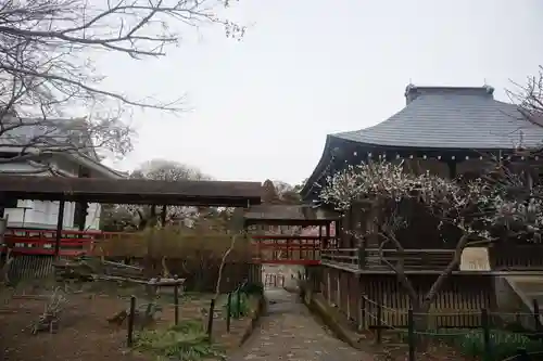 本土寺のその他建物