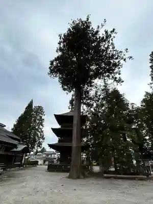 若一王子神社(長野県)