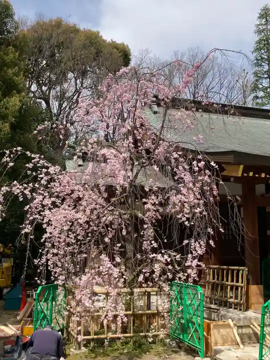 新田神社の自然