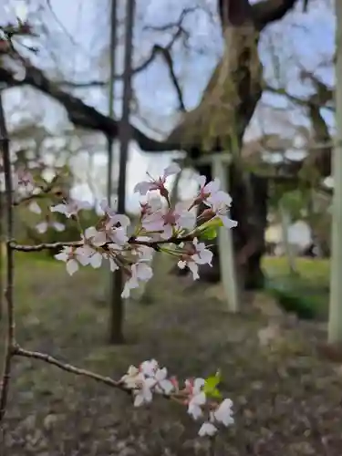 般若院(茨城県)