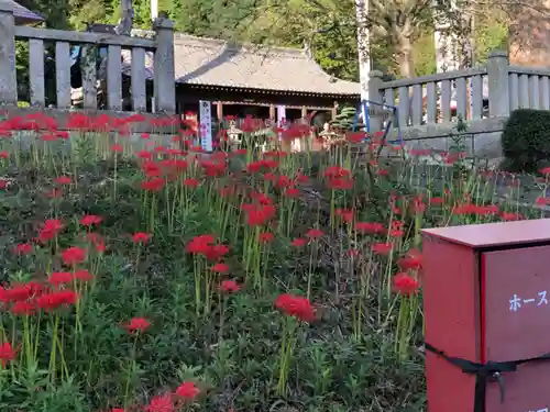 木梨神社(兵庫県)