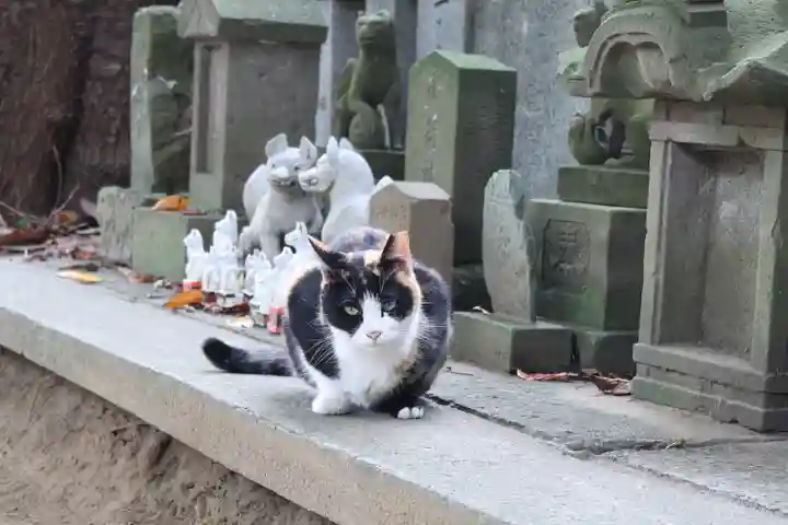 柏諏訪神社(千葉県)