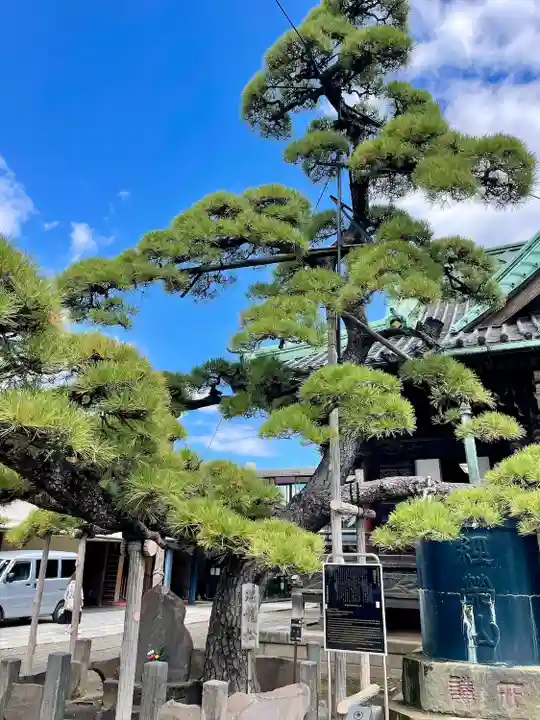 題経寺(柴又帝釈天)(東京都)
