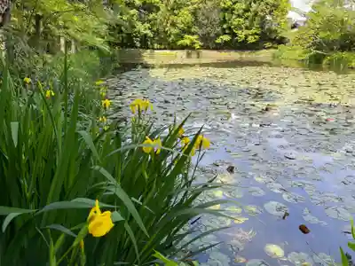酬恩庵一休寺(京都府)