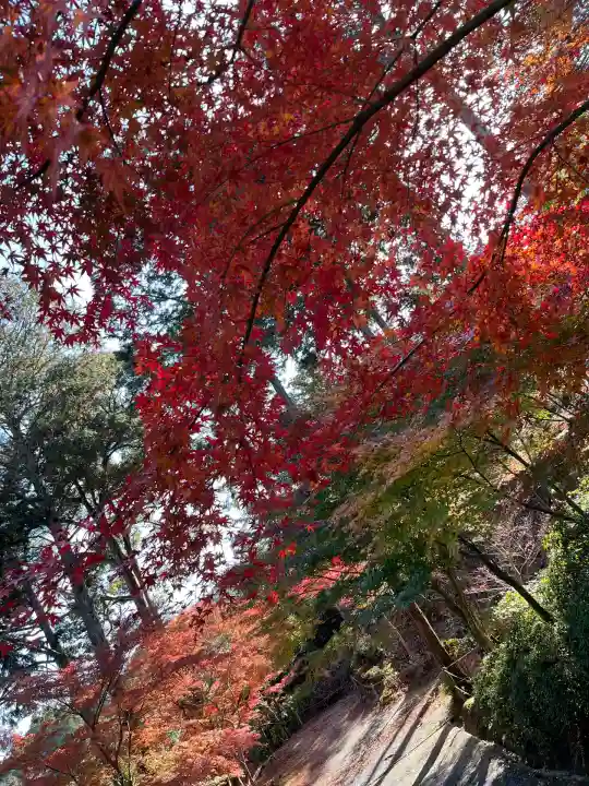 常樂寺(滋賀県)