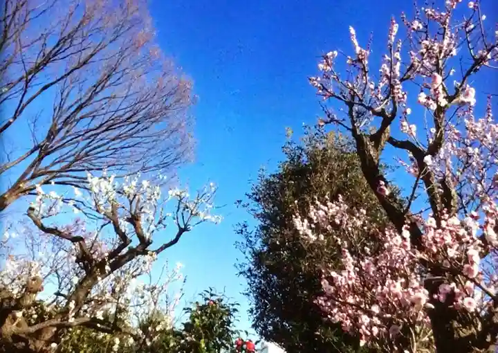 瑞円寺(東京都)