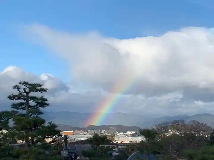 京都祇園堂(廃寺?)の自然