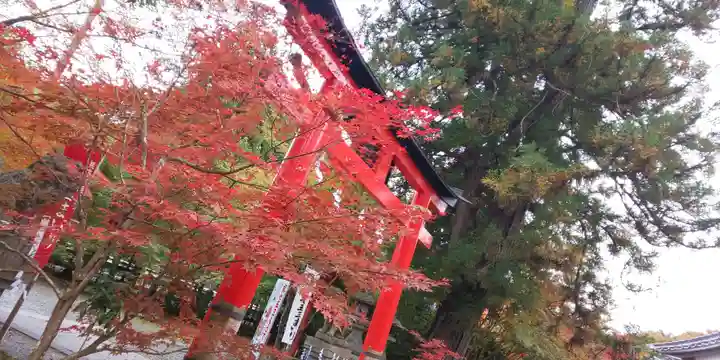 鍬山神社(京都府)