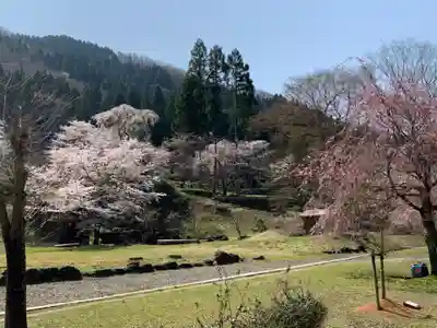 朝倉神社(福井県)