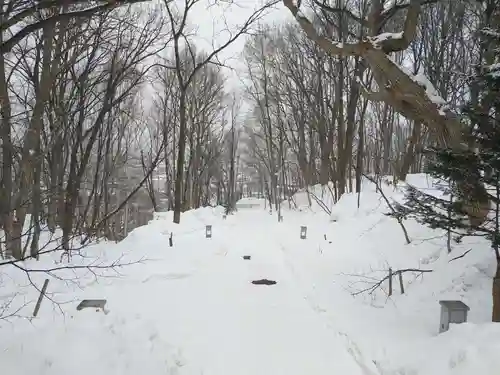 鷹栖神社の景色